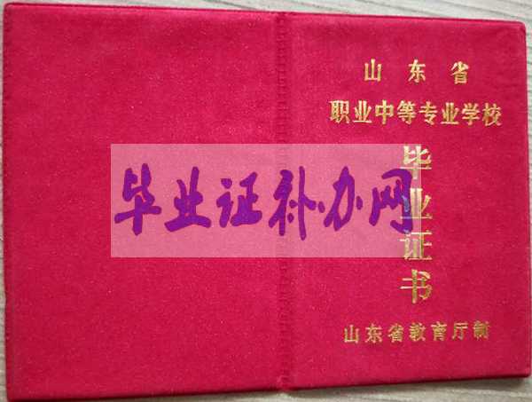 2003年山東省高中畢業(yè)證樣本圖片模板